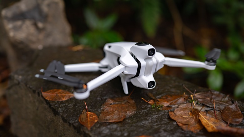 The Antigravity A1 sitting on a rock with autumn leaves.