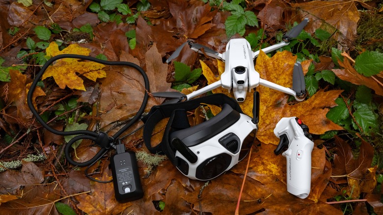 The Antigravity A1 with goggles and controller on a bed of autumn leaves.
