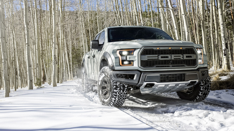 A white Ford Raptor parked on snow with tall skin trees in the backround.