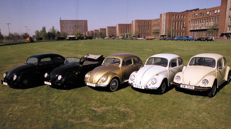 Lineup of five Volkswagen Type 1 Beetles on field in front of factory buildings, front-left views