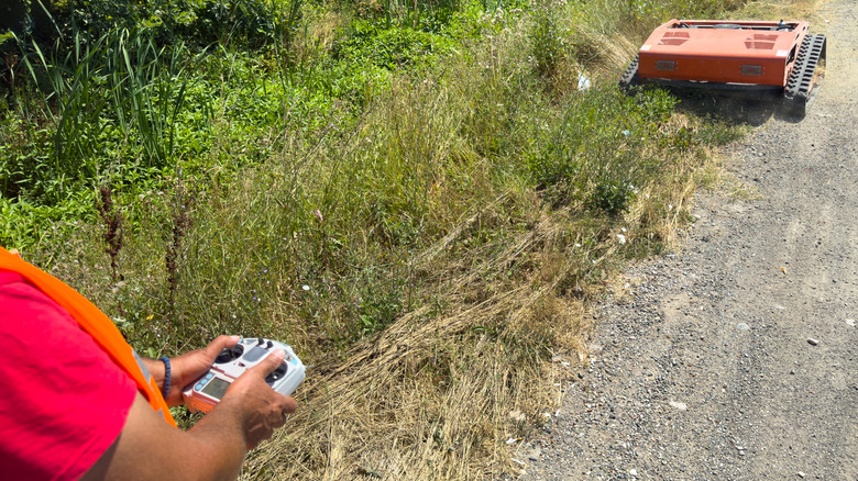 a person operates a commercial lawn mower on a sidewalk