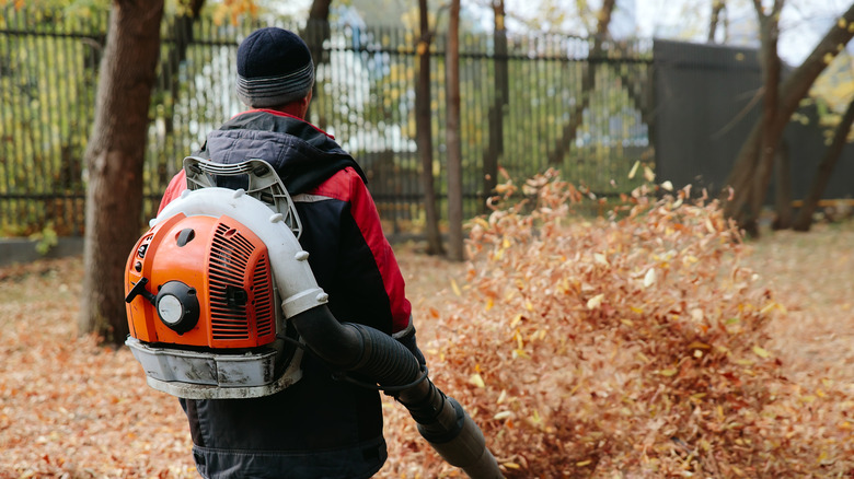man with backpack leaf blower
