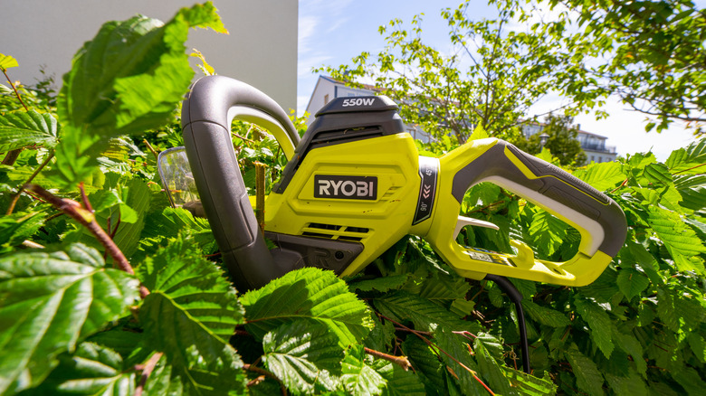 A RYOBI hedge trimmer outdoors