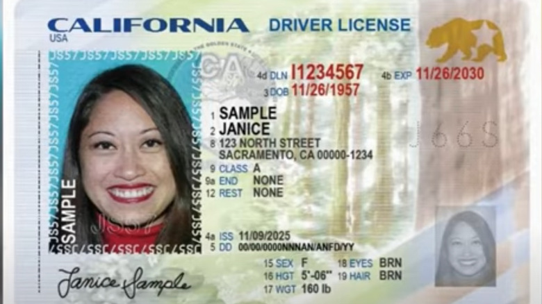 A mockup of CAlifornia's new driver's licenses showcases the state's redwoods and poppy fields.