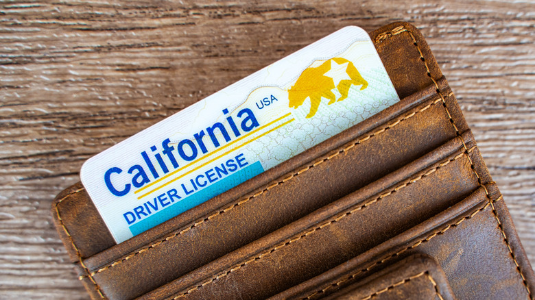 A California Driver's license with its REAL ID golden bear sticks out of a wallet.