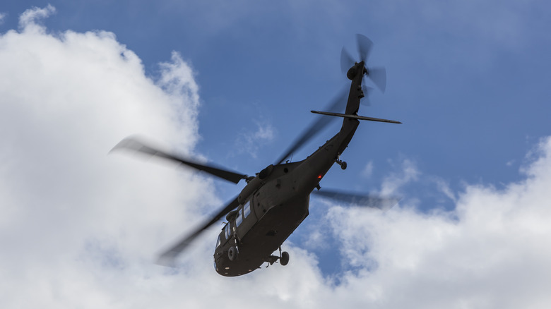 black hawk in cloudy sky