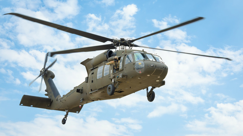 black hawk in cloudy sky