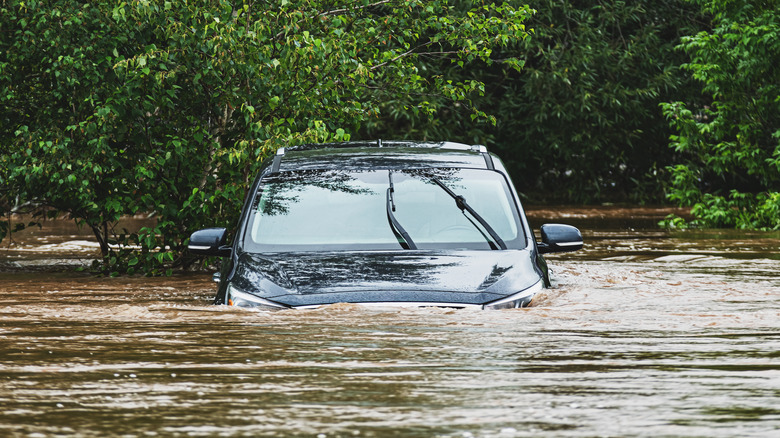 The front of a blue car seen in floodwaters up to the hood, above the headlights and grille.