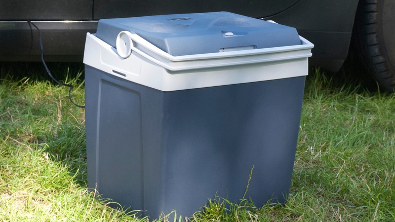 Gray-blue electric cooler sitting on the grass next to a car