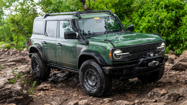Ford Bronco Everglades