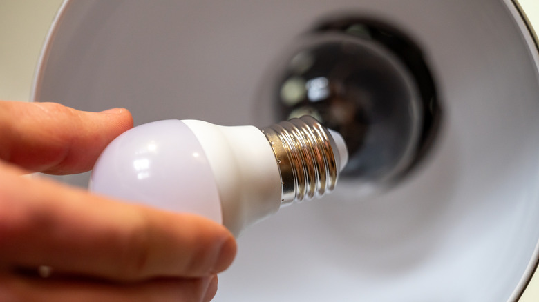 A person holding an LED light bulb.