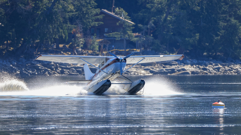 A seaplane lands off the coast of Vancouver Island
