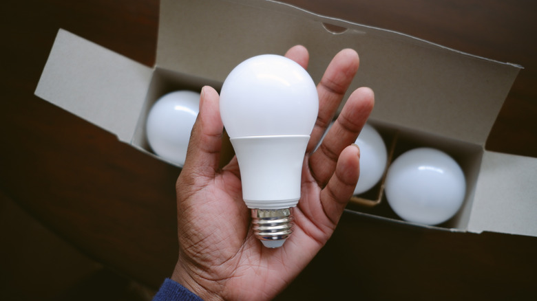 Person holding LED bulb in hand