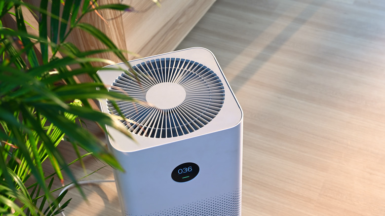 Air purifier sitting under house plant