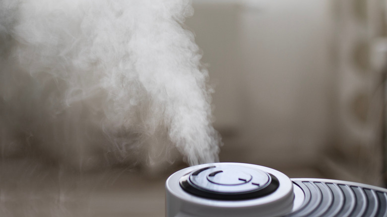 Humidifier releasing mist into room