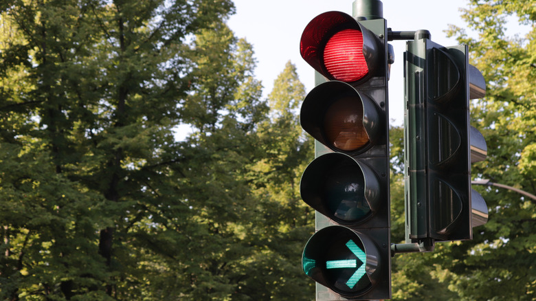 Traffic lights on a tree-lined road.