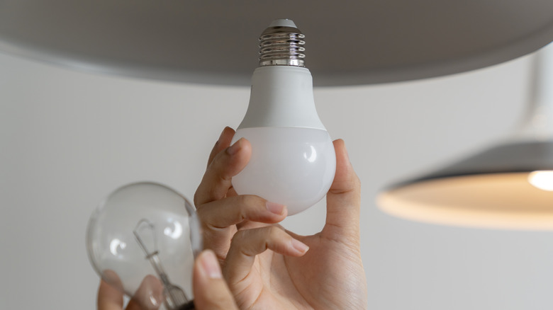 A person swapping out an incandescent light bulb for an LED.