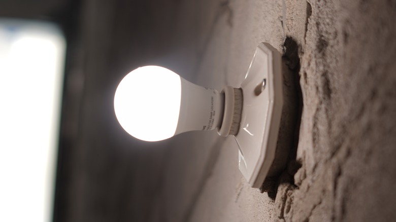 An LED lightbulb lit up on a wall.