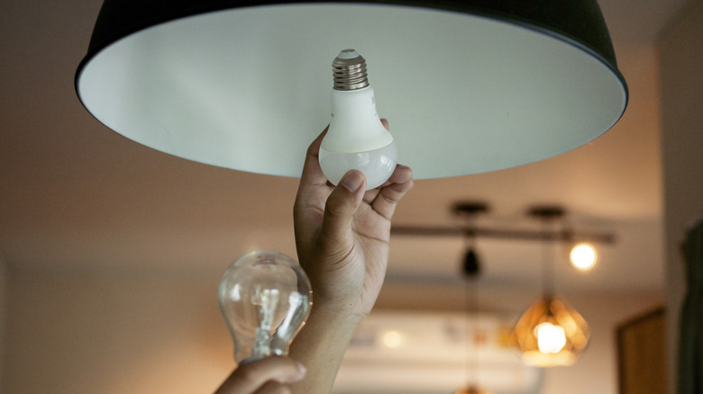 Person screwing in light bulb