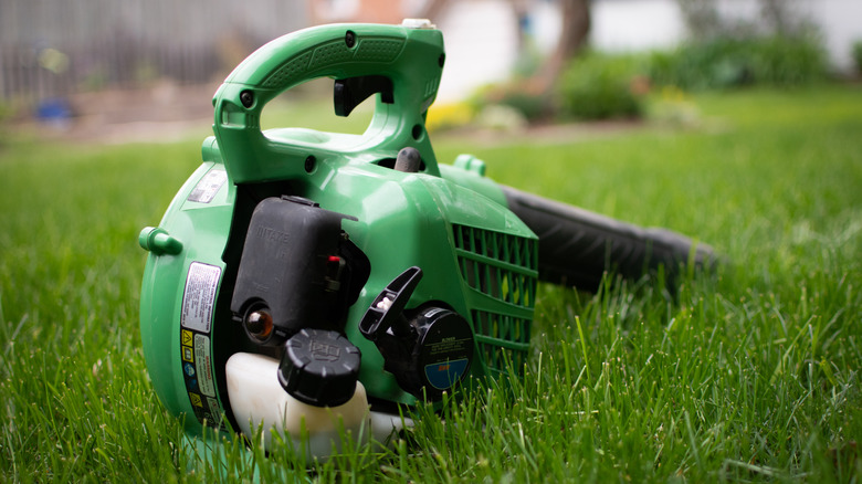 Gas-powered leaf blower on a lawn