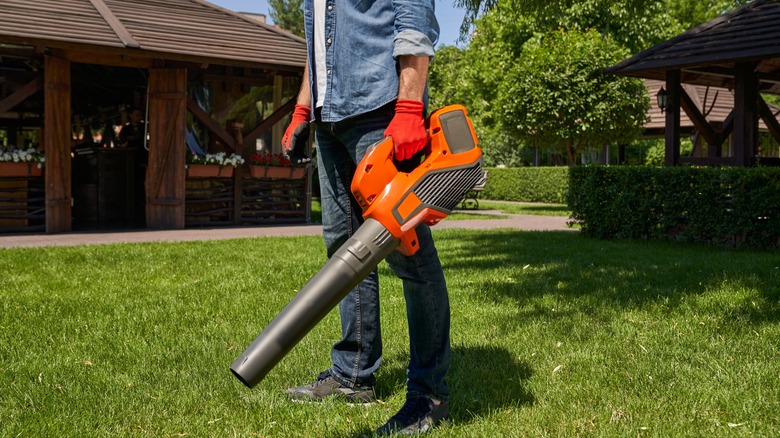 man using a leaf blower in the yard