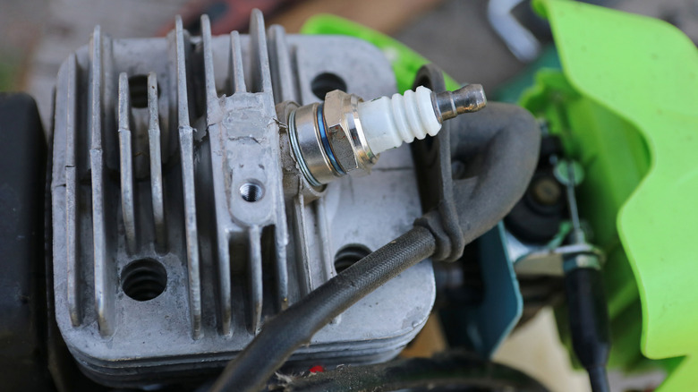 Close up of weed eater engine