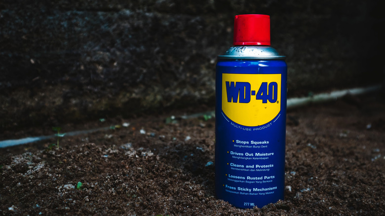 A can of WD-40 on some soil