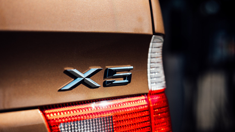 Close-up shot of an E53 X5's badge