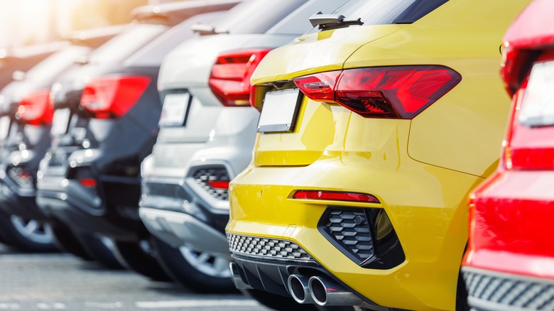 Various small SUVs parked in a line seen from rear