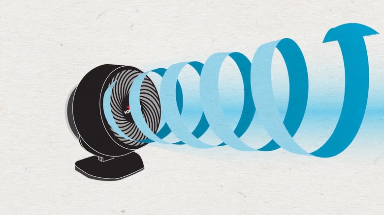 An Illustration Of The Vornado Vortex Circulation