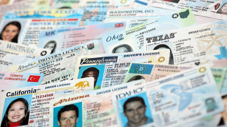 A pile of driver's licenses from many different states, with both men and women pictured