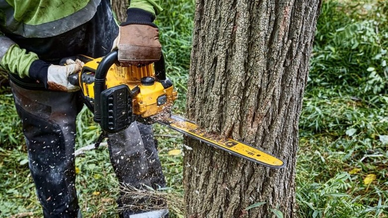 Man using 60V MAX Chainsaw on tree