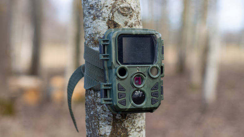 Animal trail surveillance mini camera