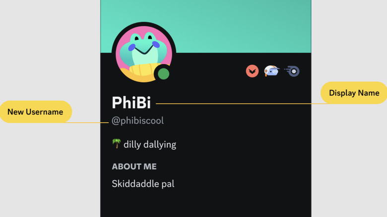 Discord username and display name