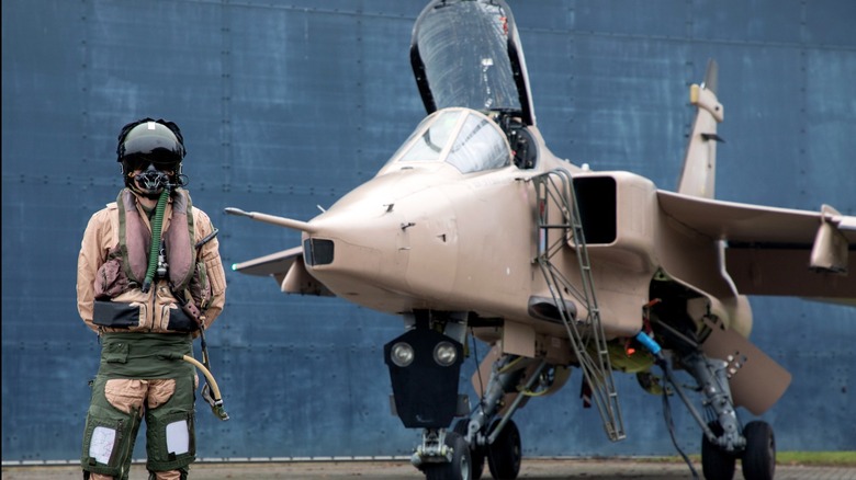 Pilot standing in front of fighter jet with the canopy open