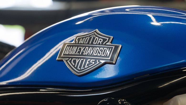 Close-up of Harley-Davidson logo on a blue fuel tank