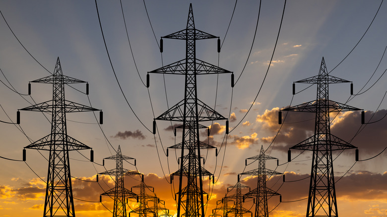 Pylons carrying power lines at sunset