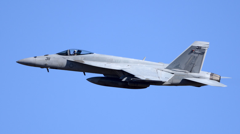 A Super Hornet in flight.