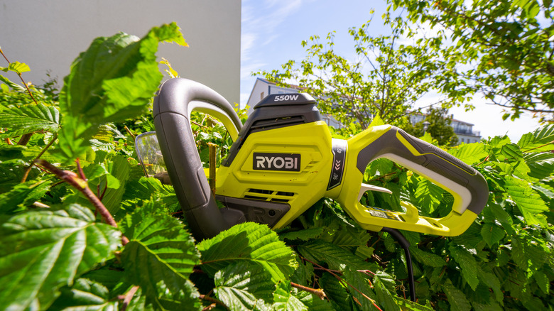 A Ryobi hedge trimming tool
