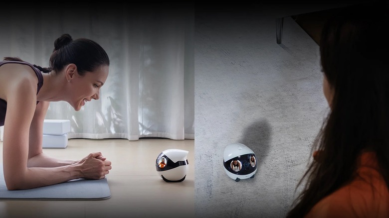 Two Enabot security cameras on video call