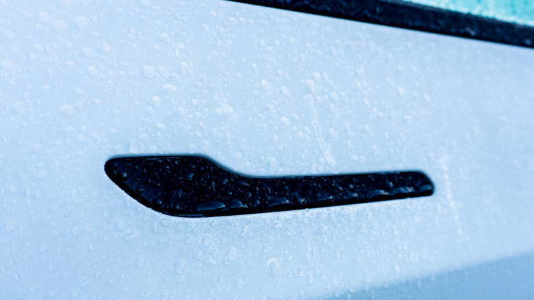 The frozen door handle of a Tesla vehicle.