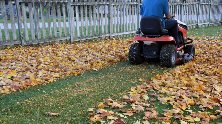 A man riding a lawn tractor to mulch leaves in a yard