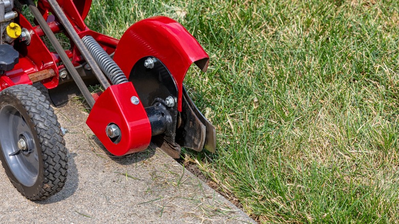 A lawn edger cuts between the sidewalk and grass surfaces.