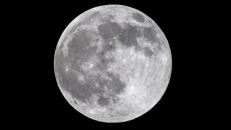 The first supermoon of the year rises over Austin, Texas on October 06, 2025.