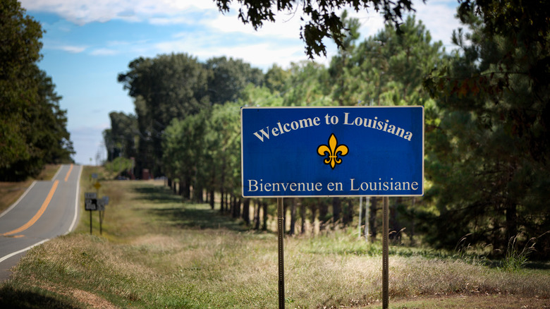 A "Welcome to Louisiana" traffic sign with trees, blue skies, and a rural road in the background.