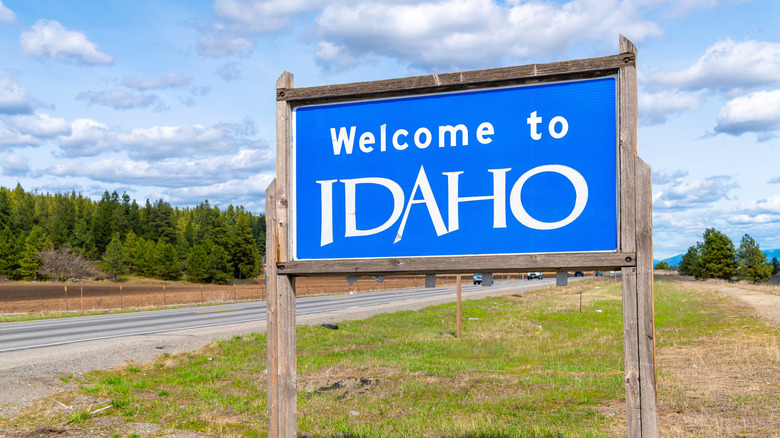 A blue "Welcome to Idaho" road sign with a clear blue sky, road, and grass in the background.