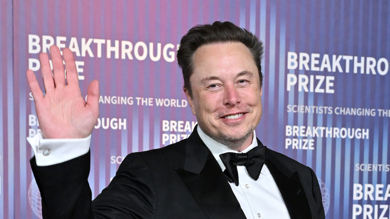 Elon Musk posing for camera