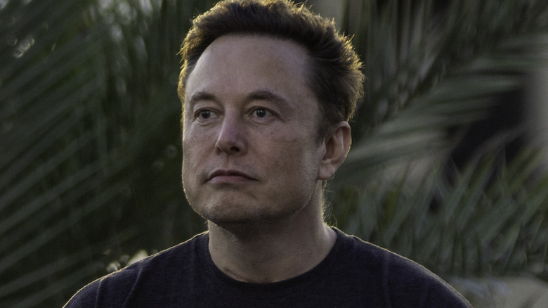 Tesla CEO Elon Musk 