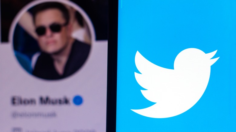 Elon Musk and Twitter's logo