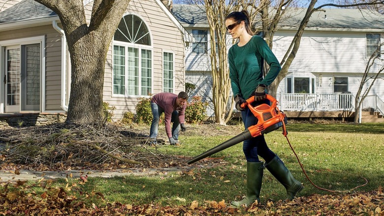 Person using leaf blower